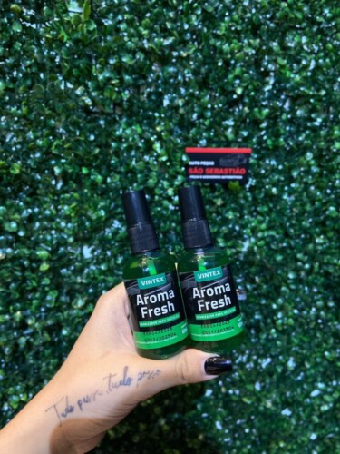 auto pecas sao sebastiao jau (11)