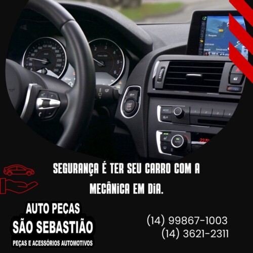 auto pecas sao sebastiao jau (7)