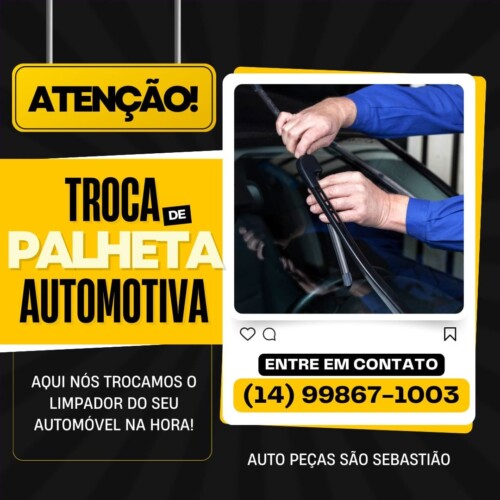 auto pecas sao sebastiao jau (8)